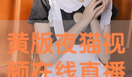 h黄视频,内容、影响及应对策略