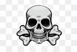 骷髅动漫,探寻生死轮回的神秘世界