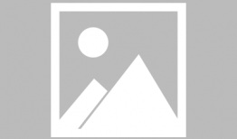 扦插视频,扦插技巧全解析，轻松掌握植物繁殖新方法