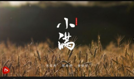 小满视频,春意盎然，收获在望的农耕时光